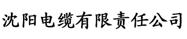 善良的表妹电缆厂logo